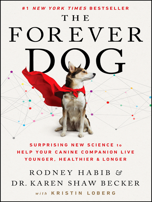 Title details for The Forever Dog by Rodney Habib - Available